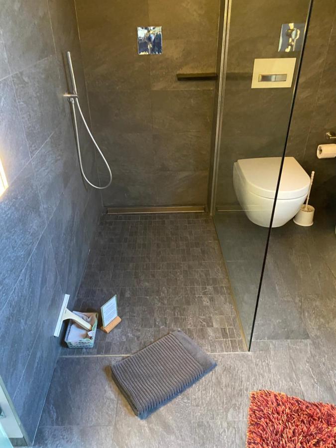 Apartment Mit Dachloggia Saarlouis Exteriér fotografie