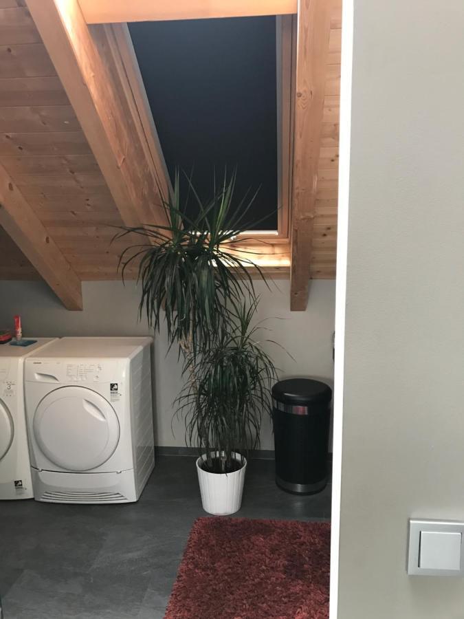 Apartment Mit Dachloggia Saarlouis Exteriér fotografie
